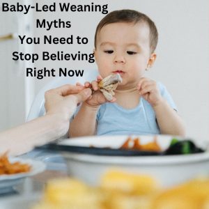 Baby-Led Weaning Myths