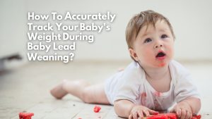 Track Your Baby's Weight During BLW?