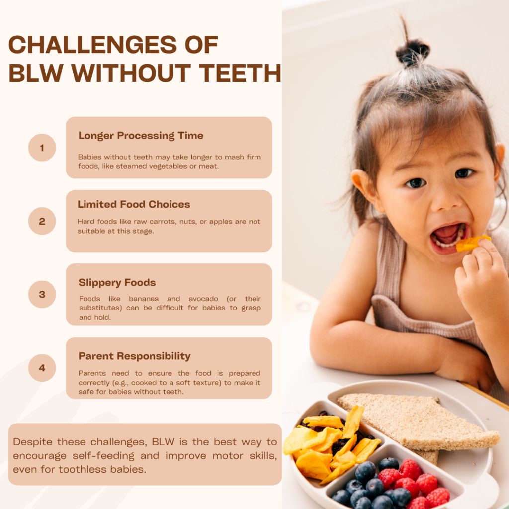 Lack of Teeth Affect Your BLW Baby